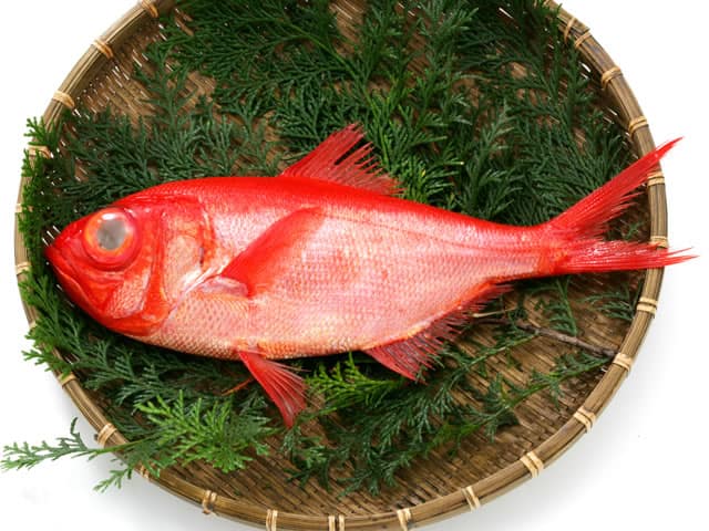 金目鯛の画像