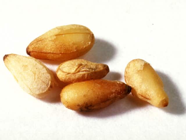 胡麻の画像