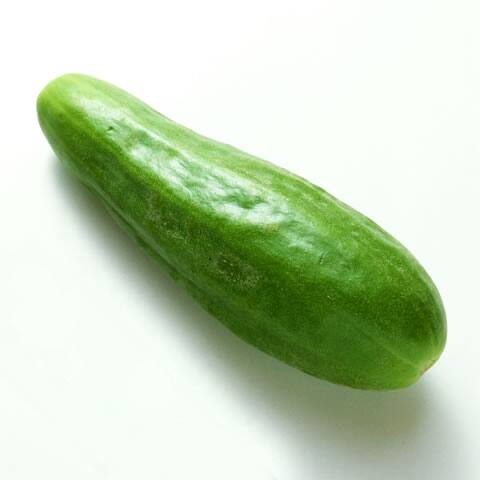 白瓜の画像