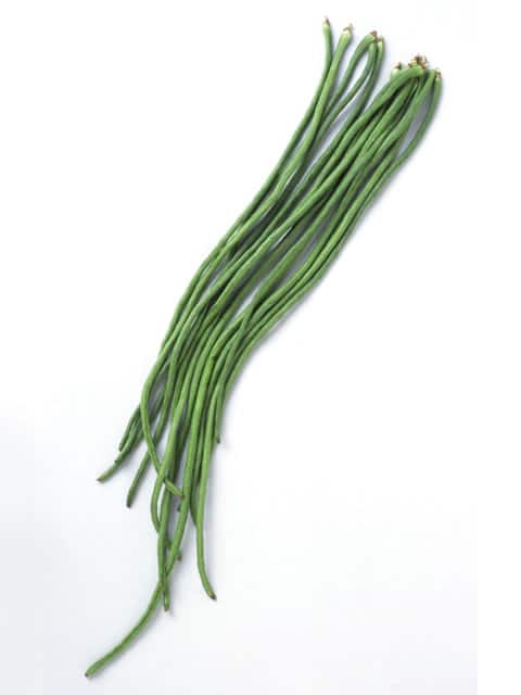 十六大角豆の画像