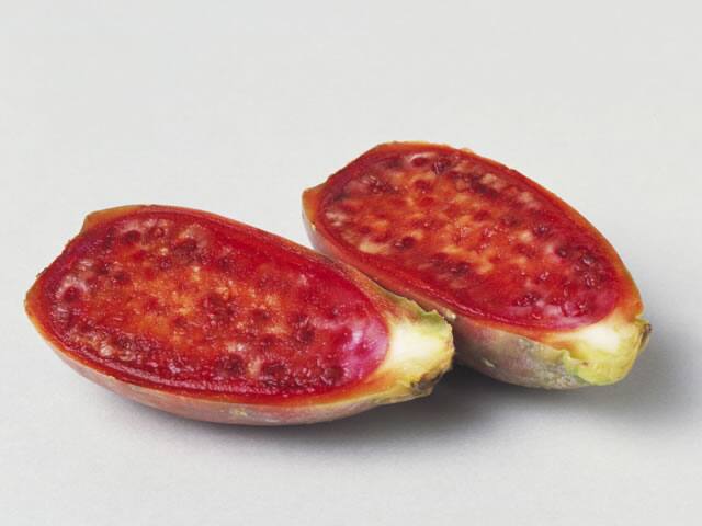 カクタス‐ペアの画像