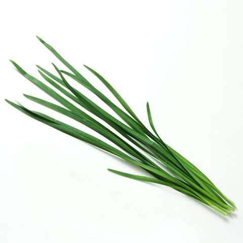 韮／韭の画像