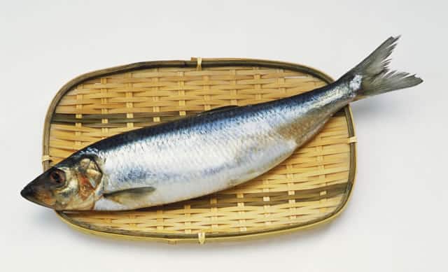 鰊／鯡の画像