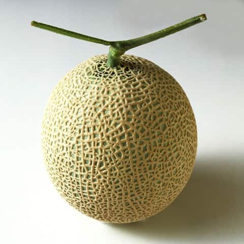 マスクメロンの画像