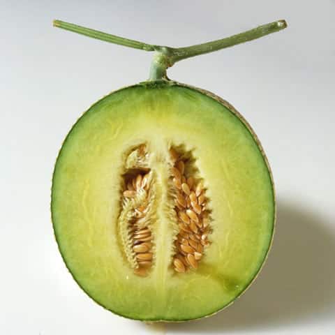 マスクメロンの画像