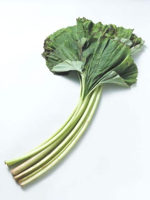 蕗の画像