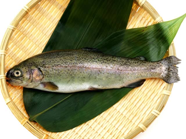 虹鱒の画像