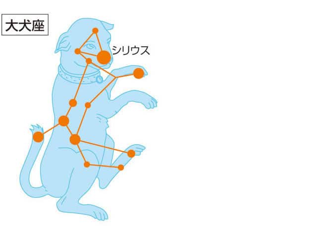 おおいぬざ（大（おお）犬（いぬ）座（ざ）） - 天体ずかん｜Web