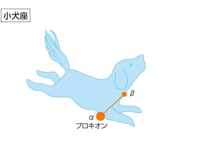 小犬座の画像