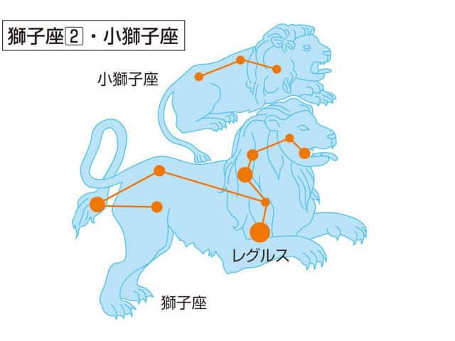 獅子座の画像