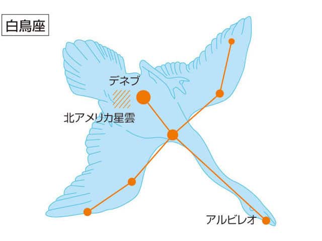 白鳥座の画像