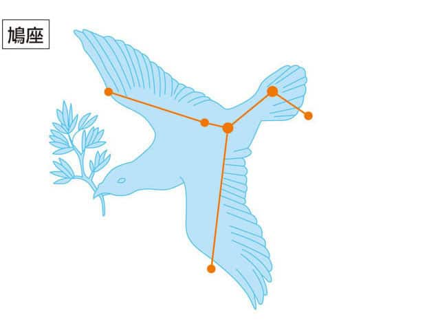 鳩座の画像