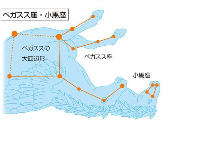 小馬座の画像