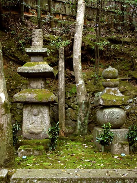 祇王寺の画像