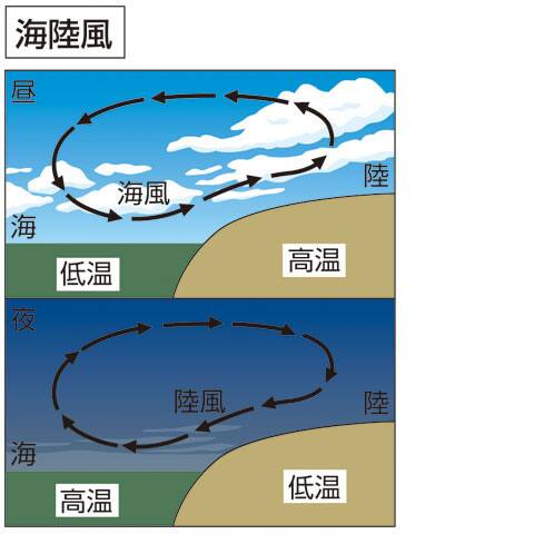 海陸風の画像
