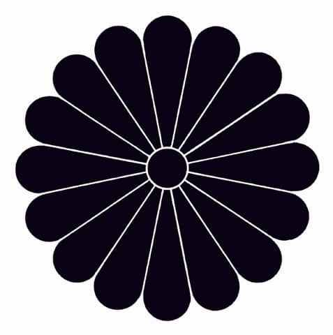 菊の画像