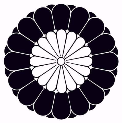 菊の画像