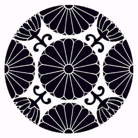 菊の画像