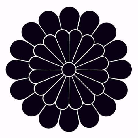 菊の画像