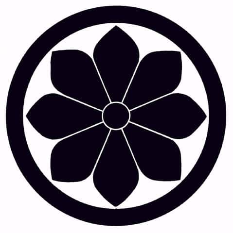 菊の画像