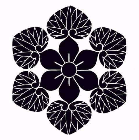 葵の画像