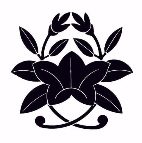 竜胆の画像