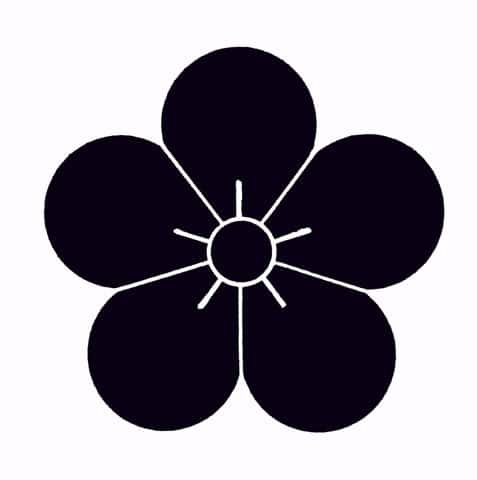 梅の画像