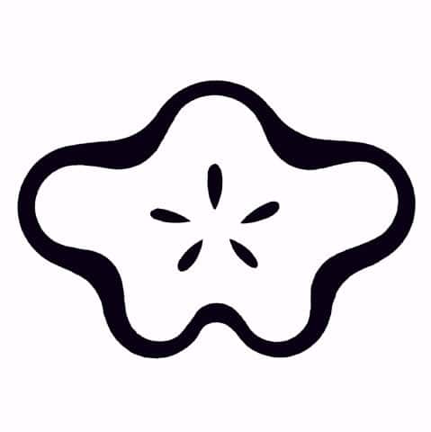 梅の画像