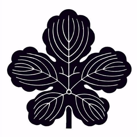 梶の葉の画像