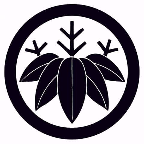 篠竹の画像
