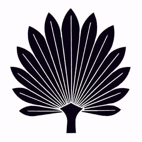 棕櫚/棕梠の画像