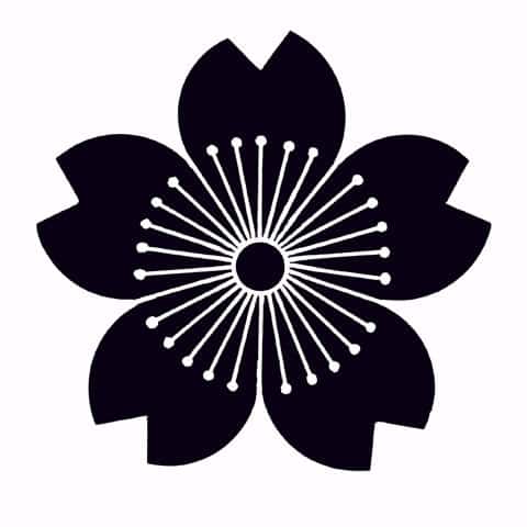 山桜の画像