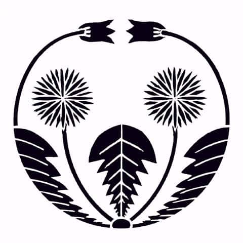 蒲公英の画像