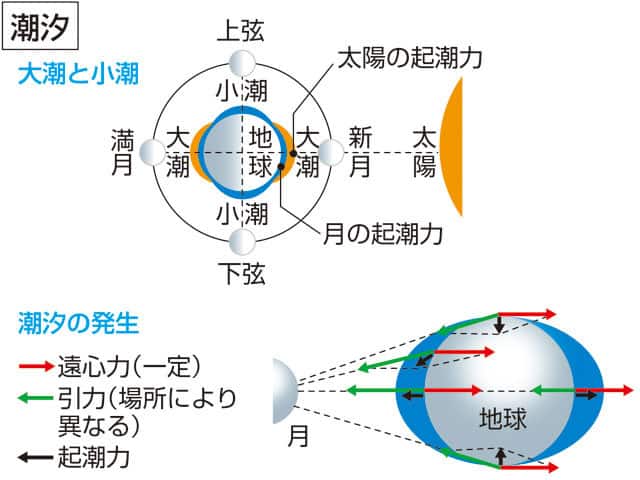 潮汐の画像