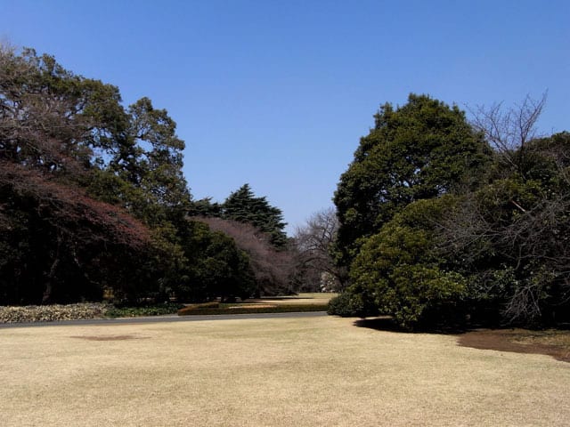 新宿御苑の画像