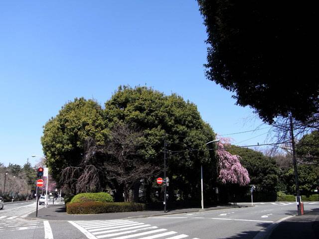 明治神宮外苑の画像