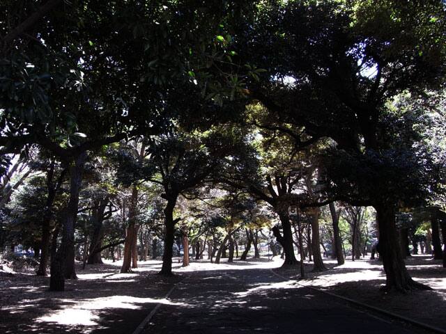 明治神宮外苑の画像