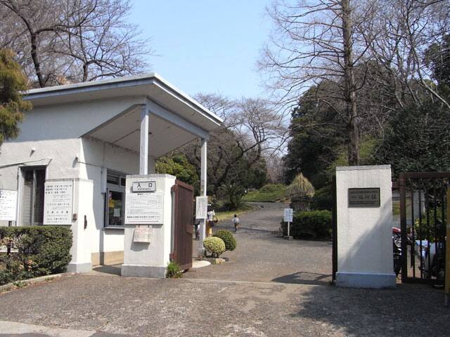 小石川植物園の画像