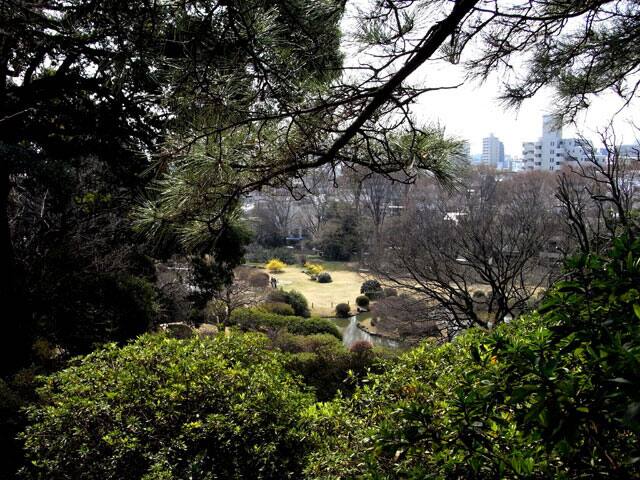 小石川植物園の画像