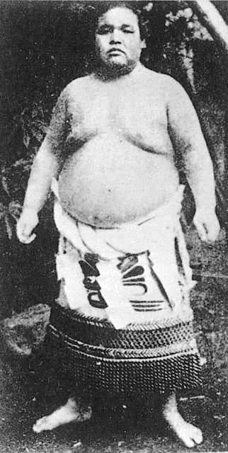 梅ヶ谷藤太郎の画像