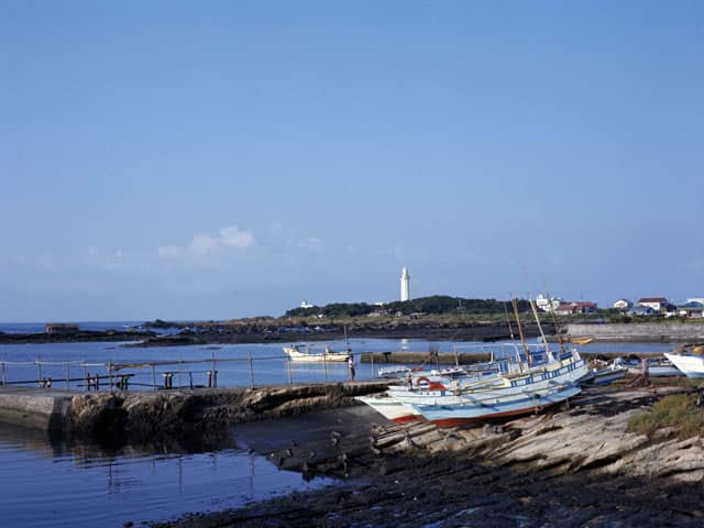 野島崎の画像