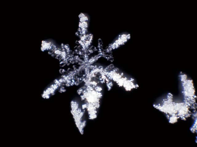 雪の画像
