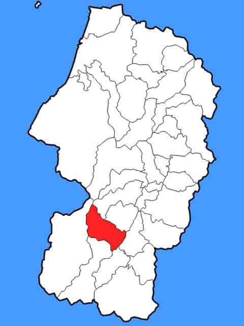 長井の画像