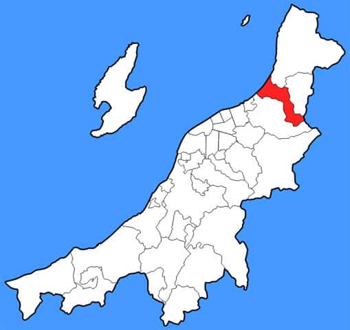 胎内の画像