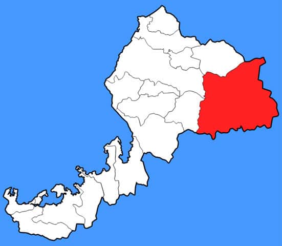 大野の画像