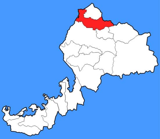 坂井の画像