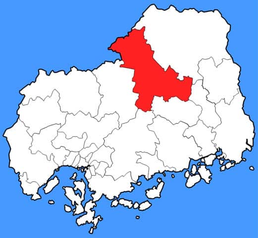 三次の画像