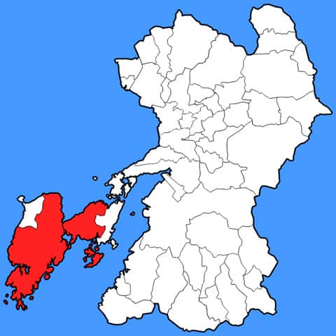 天草の画像