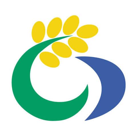 伊佐の画像