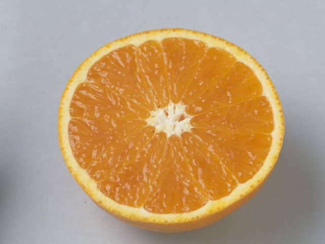 タンゴールの画像